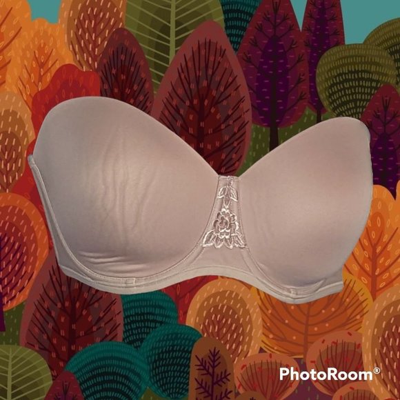 Vanity Fair Other - Vanity Fair Beige Strapless Underwire Bra 38DD Missing Straps